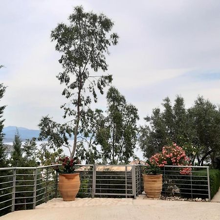 Stone House In Olive Grove Villa Tolo Bagian luar foto