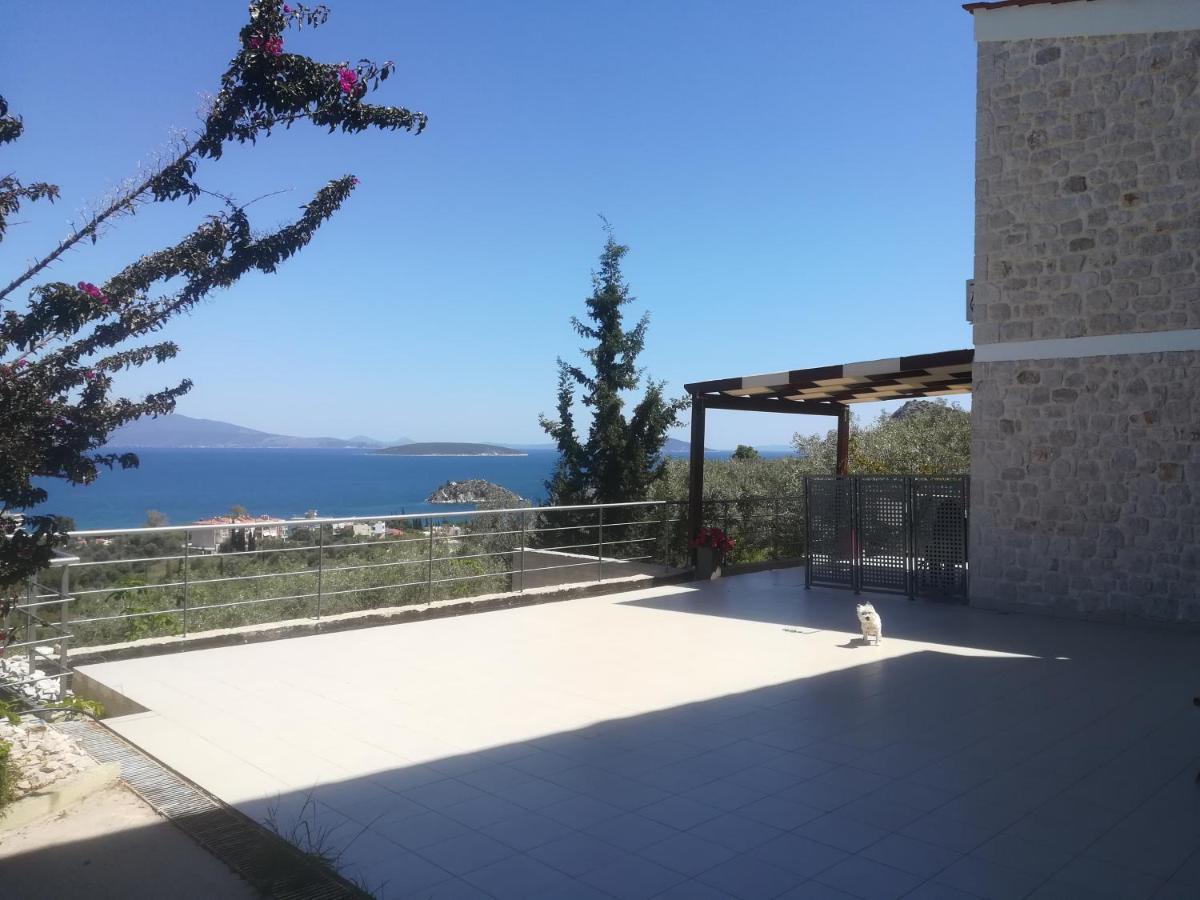 Stone House In Olive Grove Villa Tolo Bagian luar foto