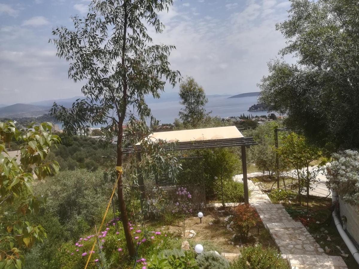 Stone House In Olive Grove Villa Tolo Bagian luar foto