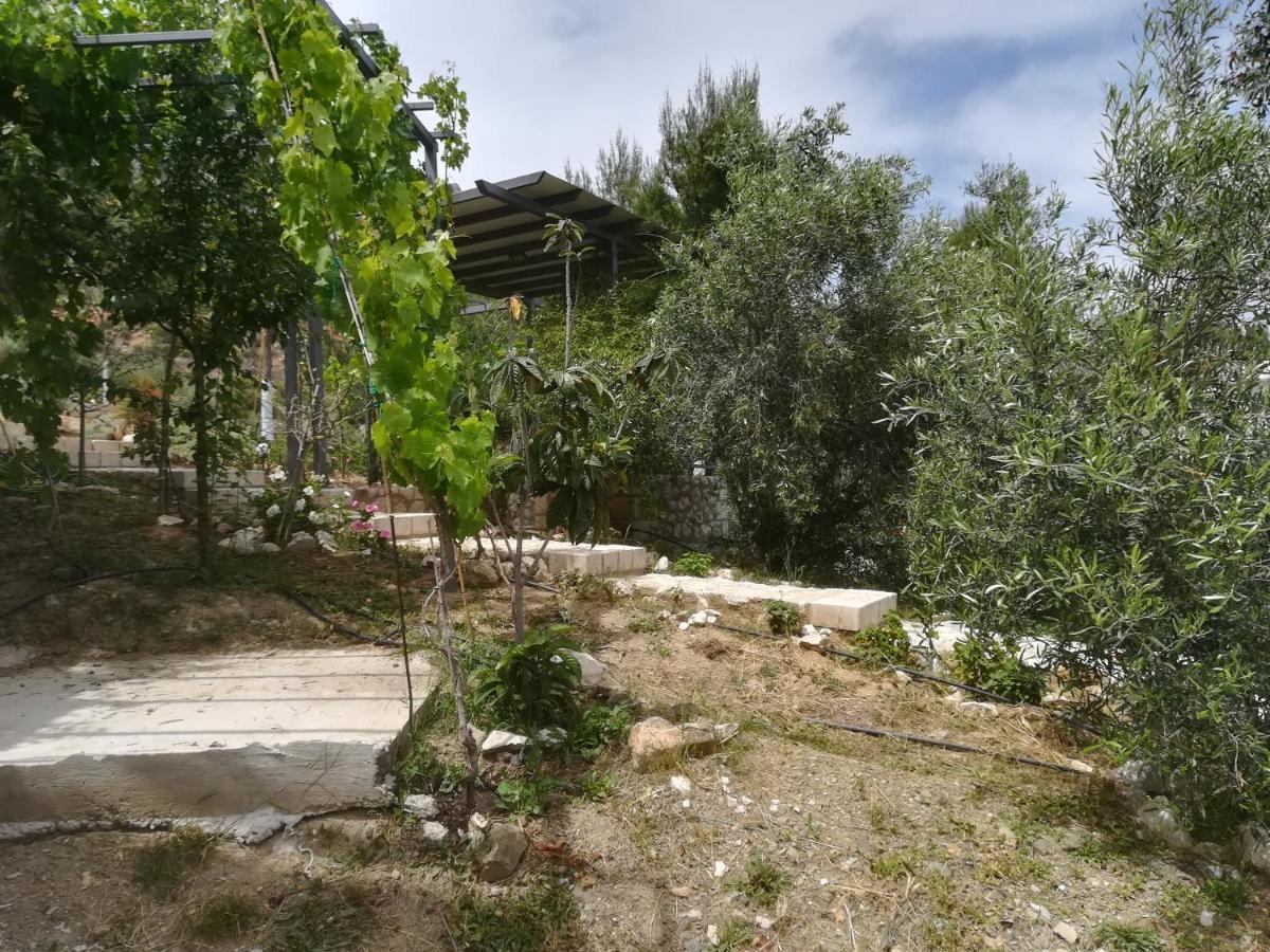 Stone House In Olive Grove Villa Tolo Bagian luar foto