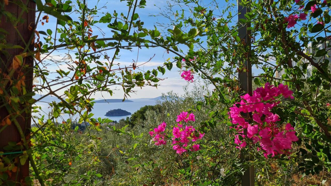 Stone House In Olive Grove Villa Tolo Bagian luar foto
