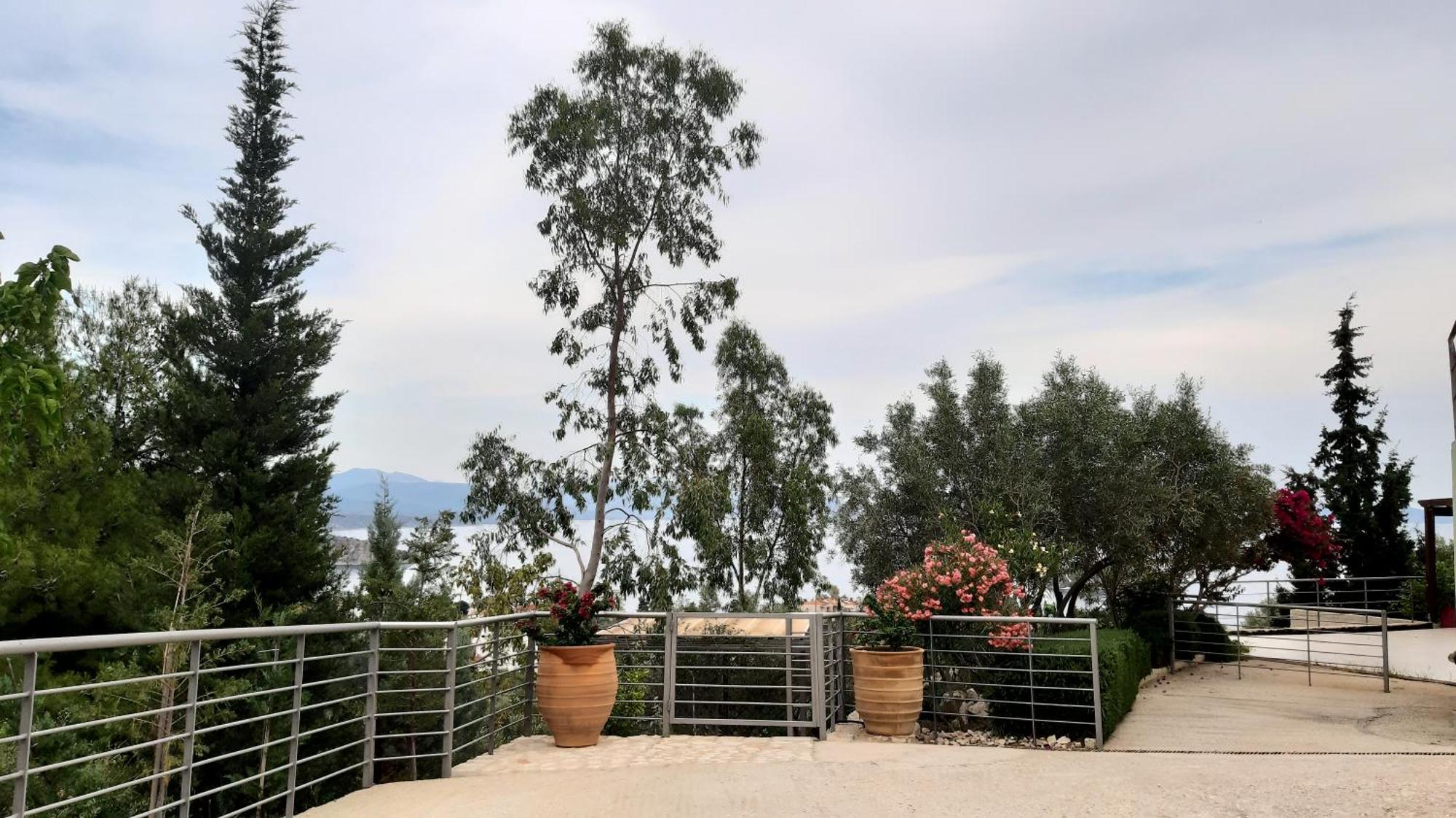 Stone House In Olive Grove Villa Tolo Bagian luar foto
